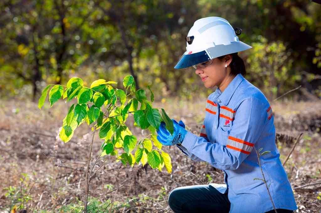 Peñoles y Fresnillo plc: El medio ambiente está en 1er lugar