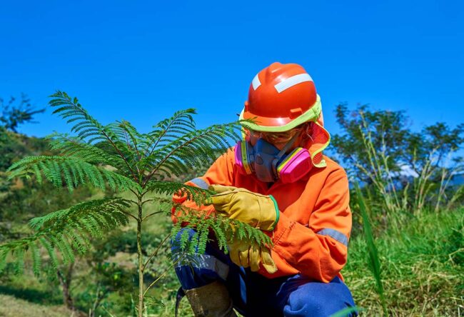 Industrias Peñoles, empresa integra y de valores | Minería en México