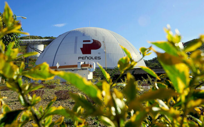 Met-Mex Peñoles reforesta áreas en la región y resalta la importancia de los árboles