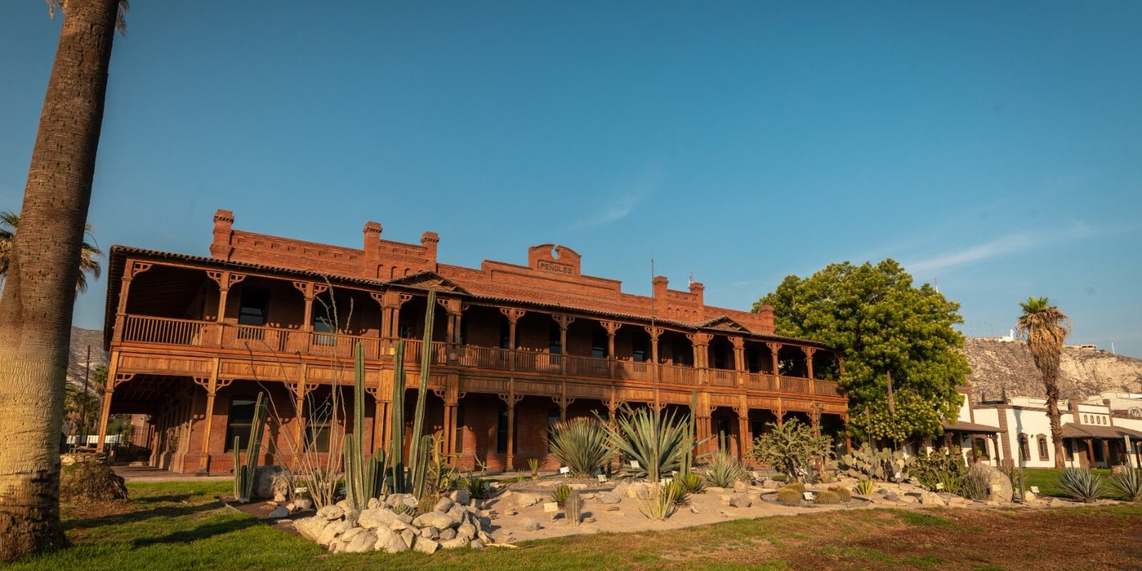 Peñoles crea actividades para toda la familia