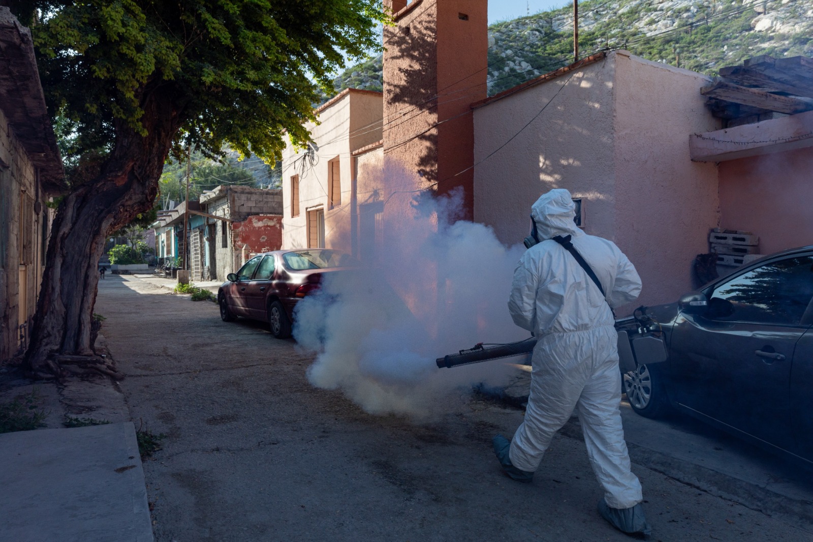 Peñoles sigue apoyando para el control del dengue