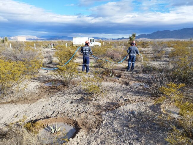 Peñoles crea acciones para proteger la flora regional