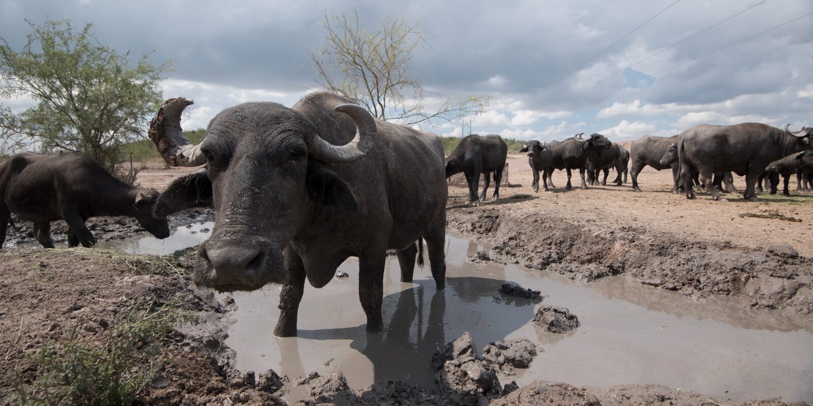 Minera Peñoles refuerza su compromiso con la sostenibilidad en el Día Mundial de la Tierra